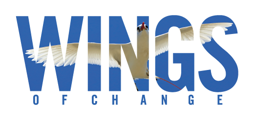 Wings of Change logo